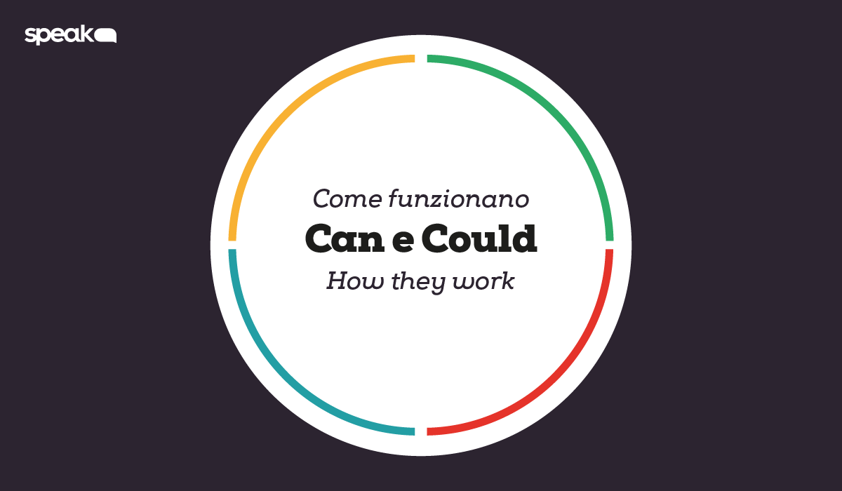 LANGUAGE FOCUS Can e Could